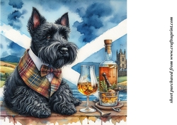 Scottie with whisky background 1