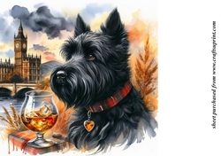 Scottie with whisky background 3