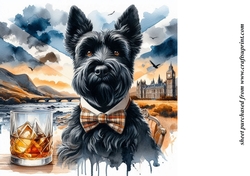 Scottie with whisky background 5
