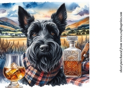 Scottie with whisky background 6