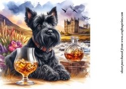 Scottie with whisky background 7