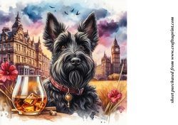 Scottie with whisky background 8