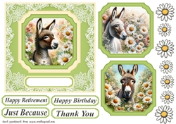 Daisy donkey card front 1