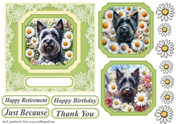 Daisy Scottish terrier card front