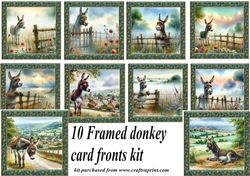 Framed donkey card front kit