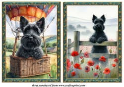2 Framed Scottie card fronts