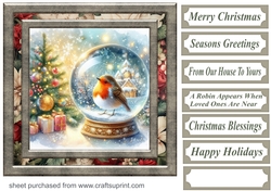 Christmas robin snow globe card front 1