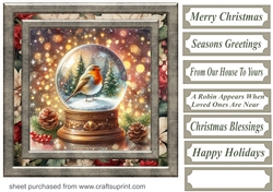 Christmas robin snow globe card front 2