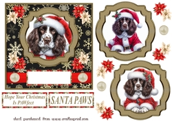 Liver and white Springer Spaniel Santa card front