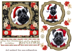 Scottie Santa card front