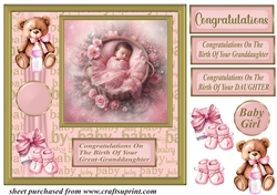 Framed new baby girl card front C