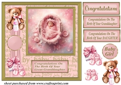 Framed new baby girl card front D