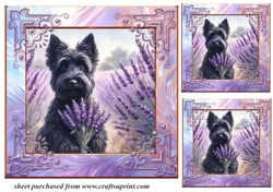 3 Lavender Scottie card front/toppers 2
