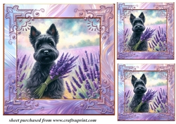 3 Lavender Scottie card front/toppers 3