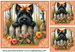 3 Orange floral Scottie card front/toppers 2