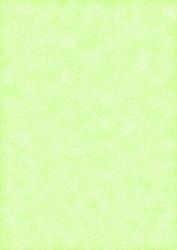 Green Christmasbacking Sheet