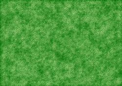 Dark Green Swirl Backing Sheet