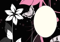 Black and Pink Floral Butterfly Insert 2