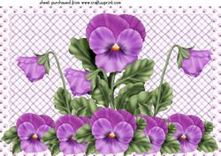 Lilac Pansy Topper 1