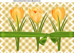 Yellow Crocus Topper