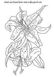 Beautiful Lilies Digi Stamp
