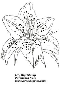 Lily Head Digi Stamp