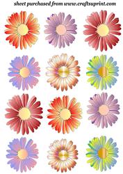 Daisy Topper/embellishment Sheet