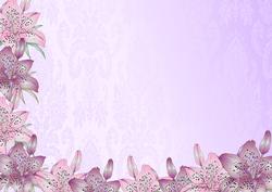 Pinks Lily Backing Sheet