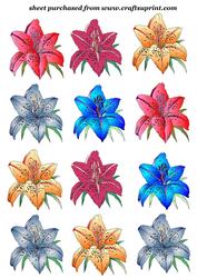 Assorted Lilies Toppers 2