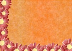 Red Daisy on Orange Backing Sheet
