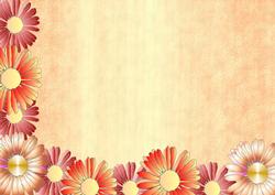 2 Tone Orange Backing Sheet 3