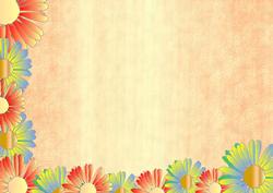 2 Tone Orange Backing Sheet 4