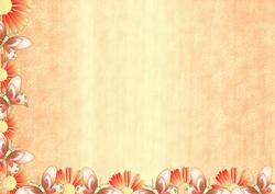 2 Tone Orange Backing Sheet 5