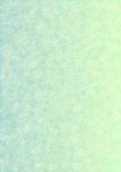 Blue/green Textured Backing Sheet