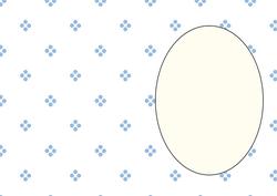 White with Blue Spots Insert 1