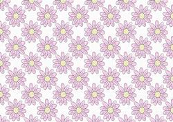 Pink and White Daisy Backing Sheet