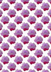 Lilacs Rose Backing Sheet