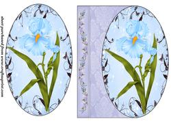 Blue Iris Card Front