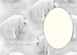 Beautiful Horse Heads Insert 11