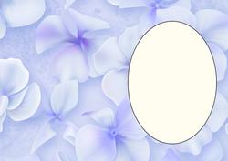 Beautiful Hydrangea Insert 8