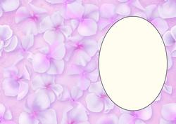 Hydrangea Insert 11