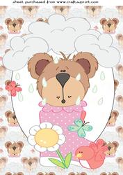 Large Rainy Day Bear Topper 1