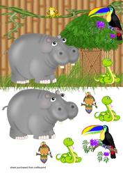 Jungle Quick Card Front(hippo)