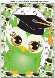 Green Graduation Owl Topper