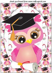 Pink Graduation Owl Topper