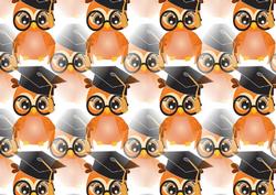 Land Orange Owl Graduation Backing Sheet