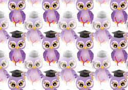 Land Purple Graduation Owl Backing Sheet