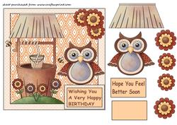 Birthday/get Well Soon Owl Card Front