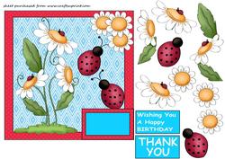 Daisy and Ladybird Card Front