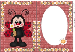 floral ladybird insert 4